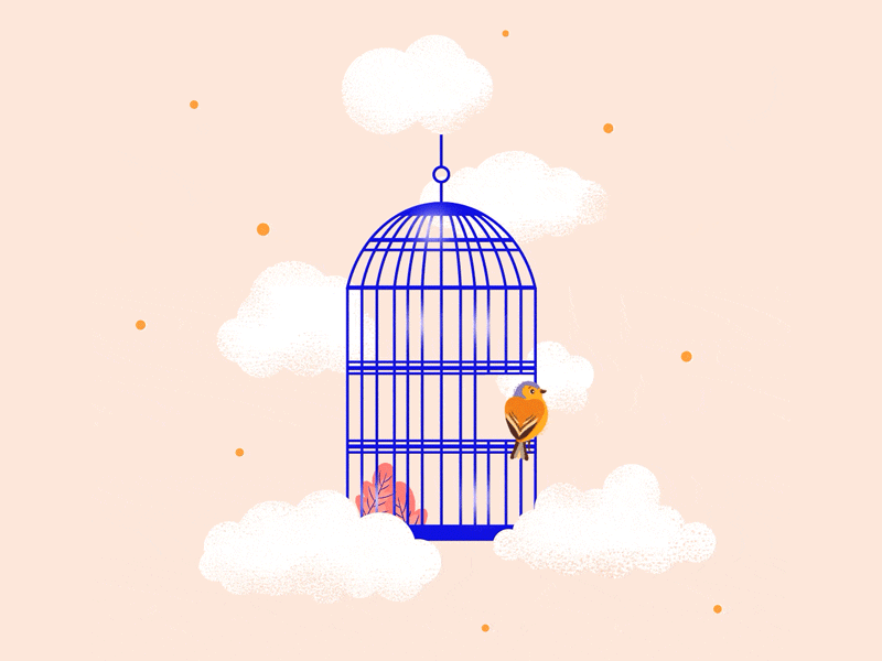 Where Will You Go? animation bird birdcage branding cage calm clouds design fly freedom illustration lockdown motion nature quarantine travel visual women