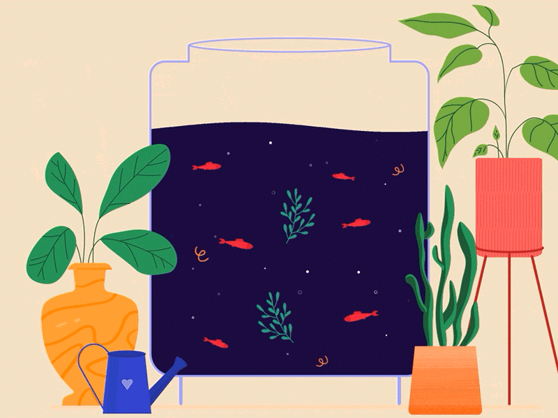 Fishes & Plants