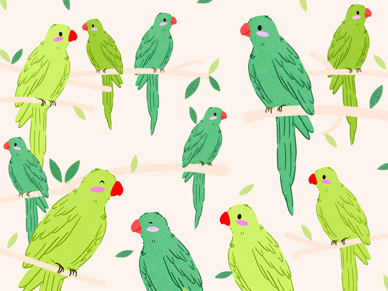 Parrot Party 🦜✨ amazon animals animation bird watching birds cute design friday gif green illustration jungle nature parrot logo parrots party travel trees tropical visual