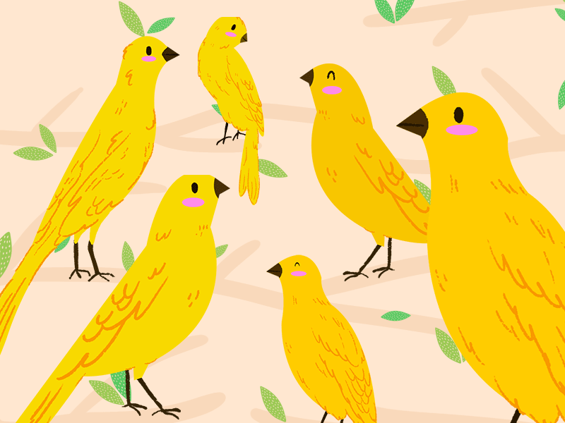 Yellow Birds In The Jungle