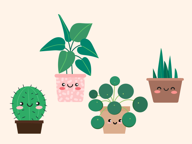 Happy Plants animation ankillustrates branding cactus cute design giphy green illustration motion graphics nature plants plantsagram snake plant stickers visual