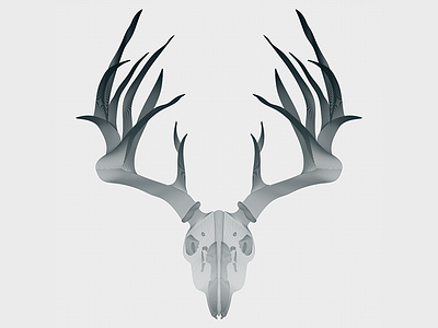 Animal Skull animal antlers blend deer grey illustrator lines shades skull tool