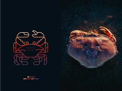 Crab Logo branding crab gradient illustration logo logo design ocean sea travel ui vector