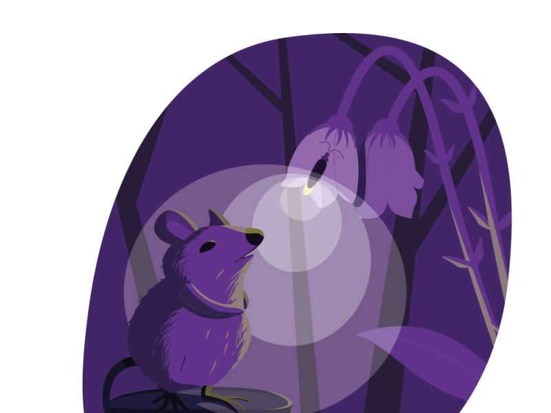 Мышь на пне и светлячок design flat graphic design illustration illustrator vector
