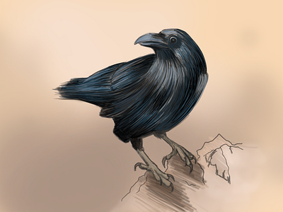 Crow life