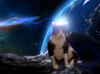 Gordo in the space ! artist cat catlover creativity digitalart inspiration photoretouch photoshop space wacom intuos