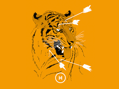 My first shot - Tiger Cartel arrows illustration minimalistic music orange rock tiger
