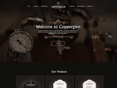 Web design for Gin company