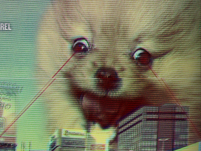 PomerALIEN - Fake Film Poster aliens disaster movie dog film lasers monster monster movie movie poster pomeranian poster vhs
