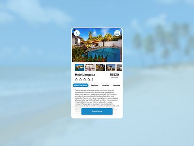 Daily UI :: 067 - Hotel Booking dailyui ui ux