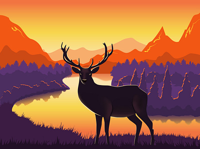 Beautiful morning deer illustration nature sunset vector