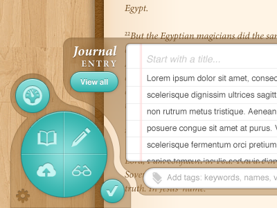 Expanded Journal Entry Panel