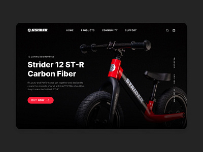 Landing page for Strider Bike