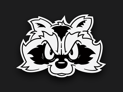 Raccoon Mascot