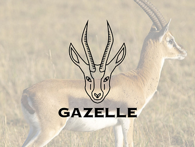 Gazelle minimal logo design branding conception design graphic design icon logo logo design vector