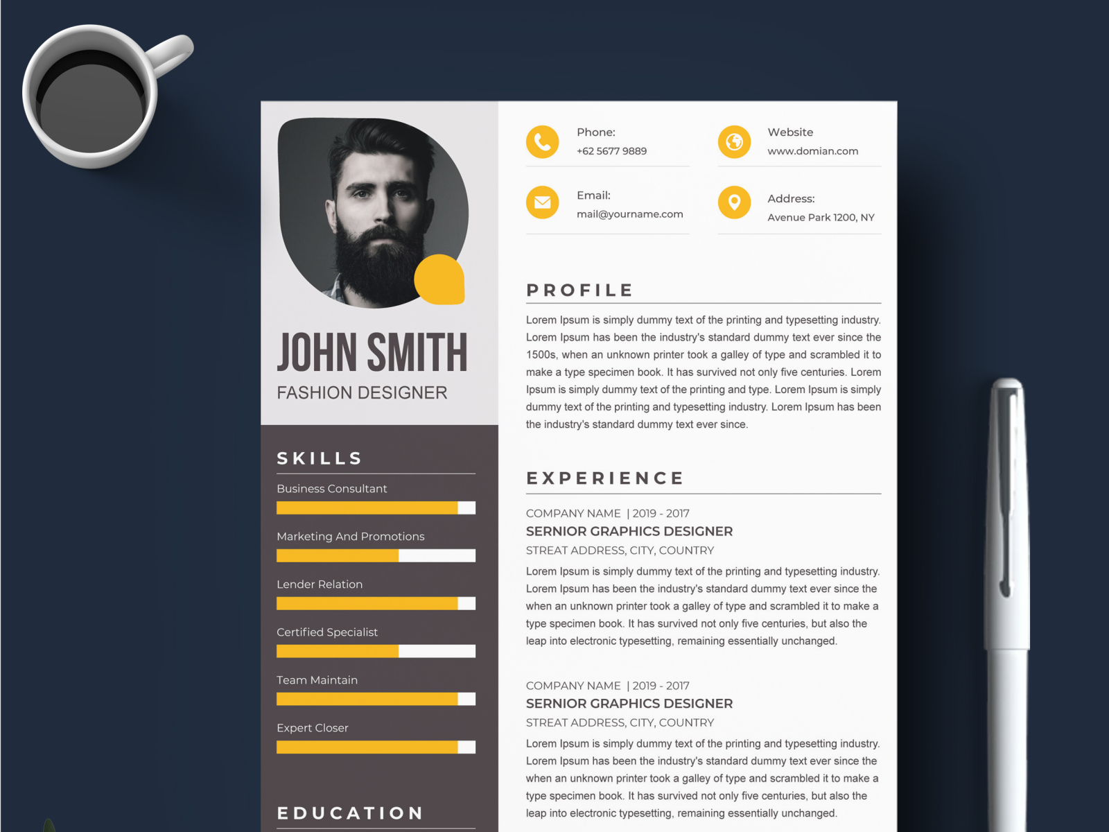 professional cv template by DesignTranslate on Dribbble