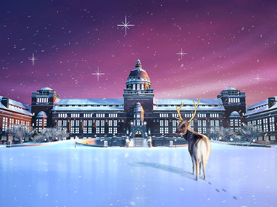 Naturhistoriska Riksmuseet Advent Calendar