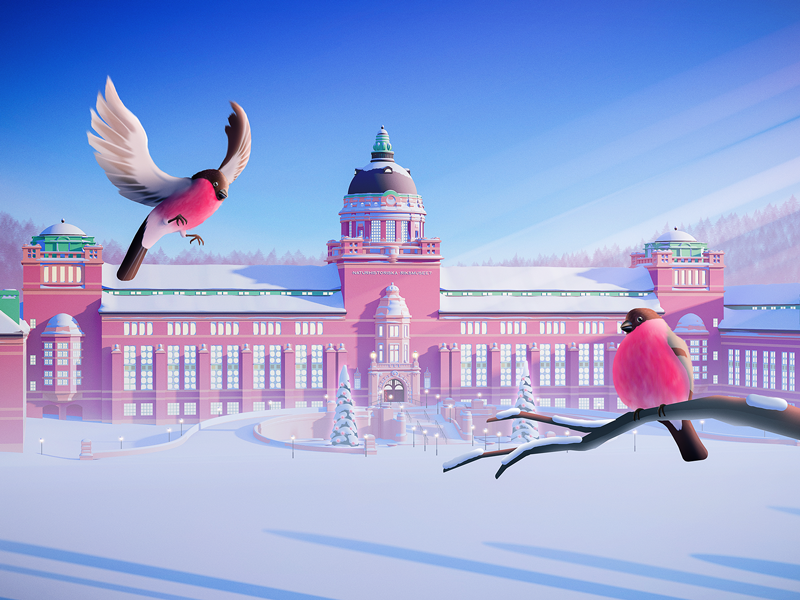 Museum of Natural History - Christmas Calendar 2017 bird snow museum illustration christmas advent calendar