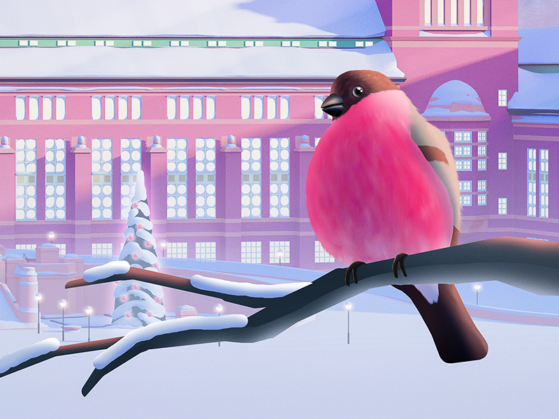 Museum of Natural History - Christmas Calendar 2017 - Close up bird calendar advent christmas illustration museum snow