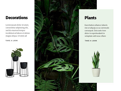 Plants & Interior czechdesigner decor homedecoration interface interfacedesign minimalism plants styling ui ux