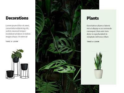 Plants & Interior
