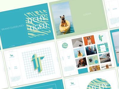 Itchy Tiger Branding & website design branding design logo typography
