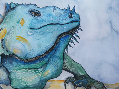Big iguana illustration