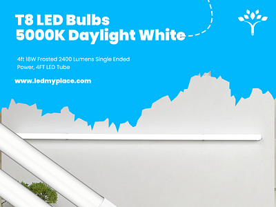 Use Energy Efficient T8 LED Bulbs 5000K brightest t8 led bulbs led bulbs 6500k t12 led bulbs t8 bulbs t8 led bulbs 5000k t8 led fixture
