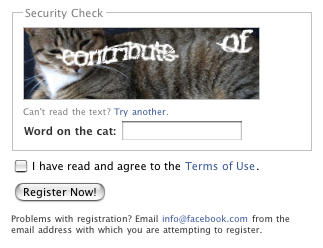 Word On The Cat captcha facebook innovation patent