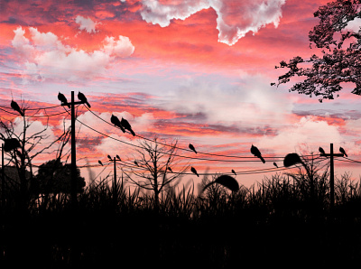 The Crow Get Together (landscape) adobe photoshop digital art graphic design illustration