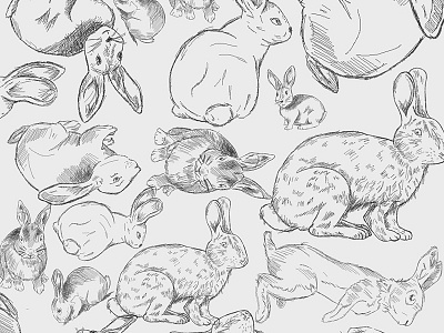 Rabbits. animals deforestation drawing habitat illustration rabbits sketch wacom