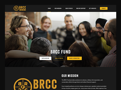 BRCC Fund // Web Design