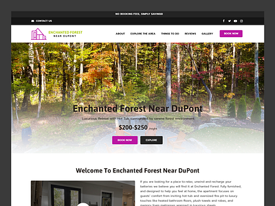 Enchanted Forest Near DuPont // Web Design forest lifestyle travel travel web design vacation rental vacation rental web design vacation web design villa web design