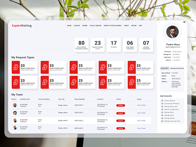 Expert Rating dashboard design flat security template ux vector webpage