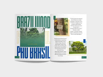 Magazine - Brazil or Brasil? Page 3-4 book design branding branding design brasil brazil brazil or brasil design graphic design illustration magazine magazine design magazine on brazil typo typography
