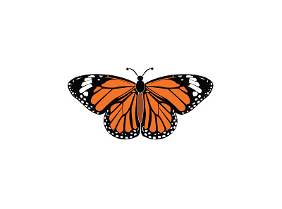 hand draw Butterfly 3d animation app branding design graphic design icon illustration logo motion graphics ui ux vector