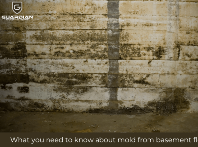 What you need to know about mold from basement flooding? basement-waterproofing crawl-space-encapsulation crawl-space-repair foundation-repair