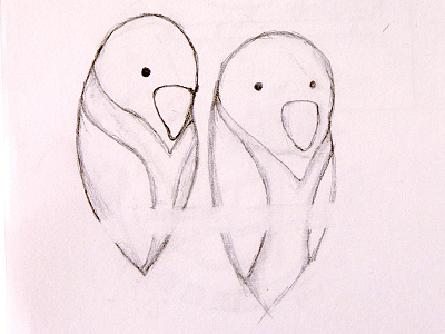 Birds WIP birds pencil and paper sketch those are beaks not mouths