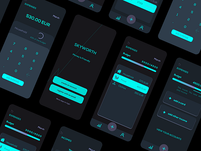 SKYWORTH - Personal Finance App app design ui