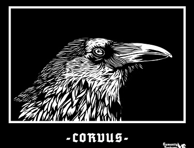 CORVUS artwork design illustration logo vector