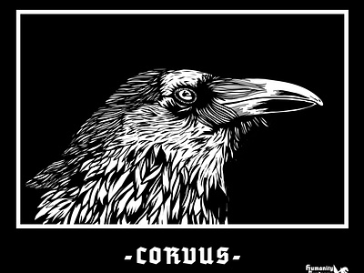 CORVUS