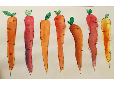 Watercolor Carrots art direction design drawing handmade illustration watercolor