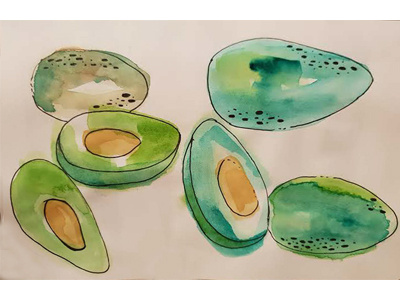 Avocado Watercolor art direction design drawing illustration watercolor