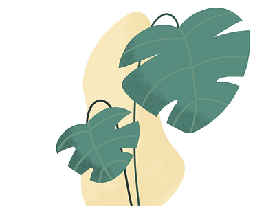 Tropical leaves