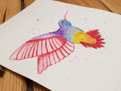 Hummingbird art direction bird design drawing hummingbird illustration watercolor watercolour