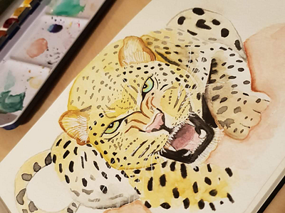 Leopard animals art direction design drawing illustration leopard painting watercolor watercolour wild wild animal winsorandnewton
