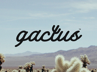 Gactus apparel apparel logo brand identity branding cactus desert design fashion brand logo minimal minimalist modern monoline