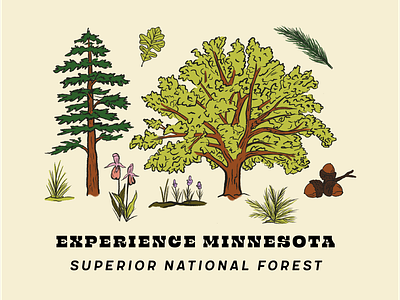 Experience Minnesota