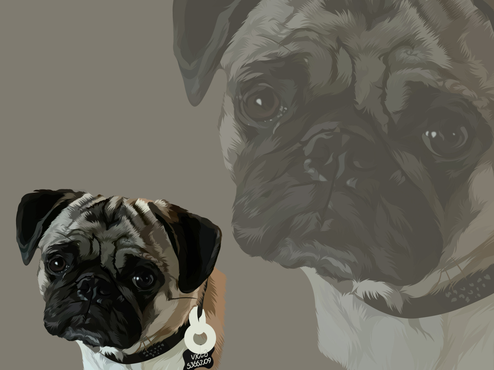 English Bulldog Vektor By Sandi K Permana On Dribbble