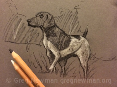 Sporting Dog Thumbnails charcoal dog drawing grey pastel sporting sporting dog